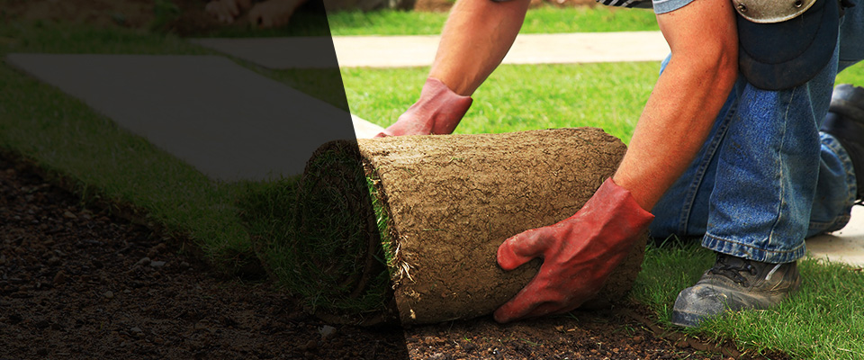 Cave City Landscapers